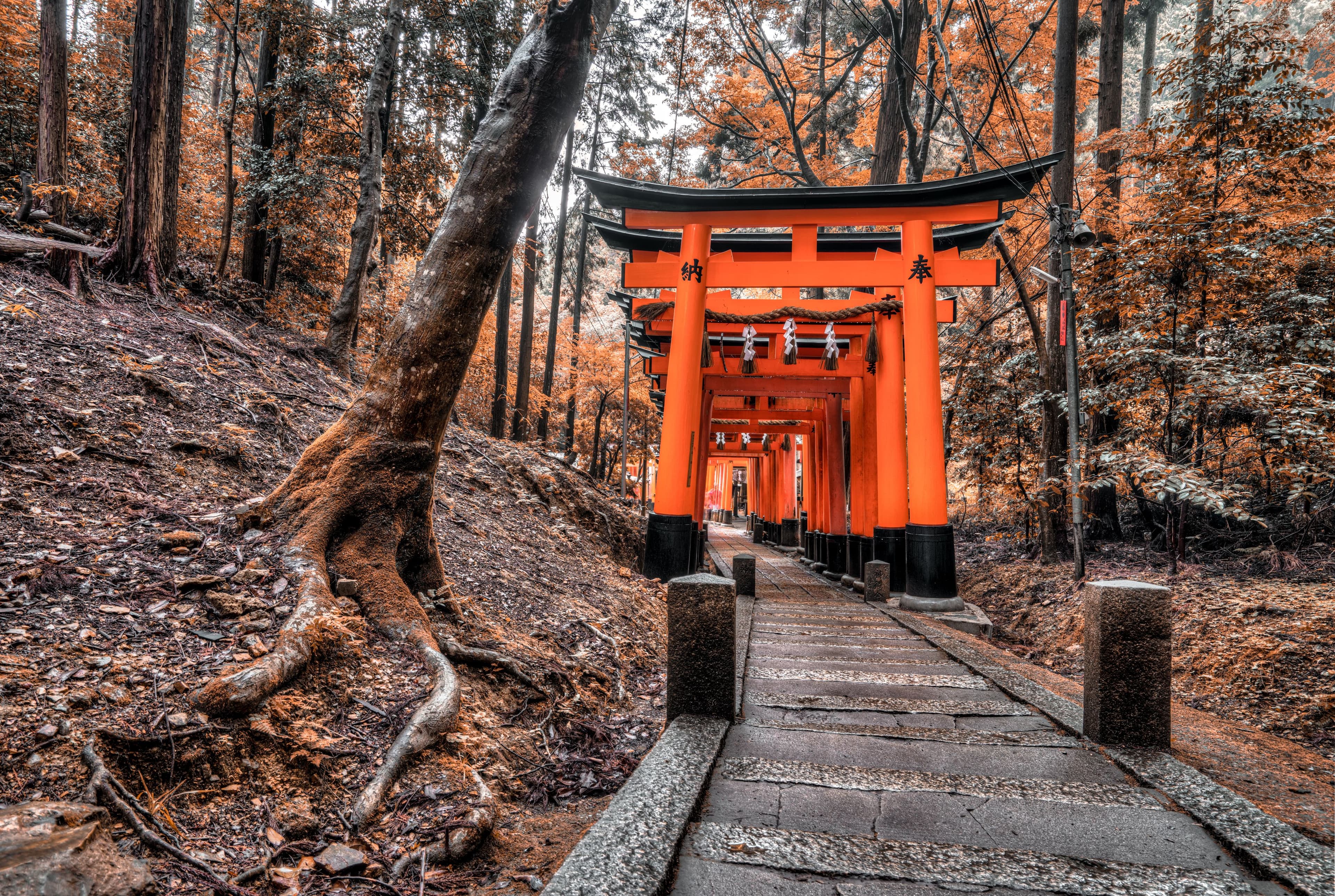 Kyoto, Japan
