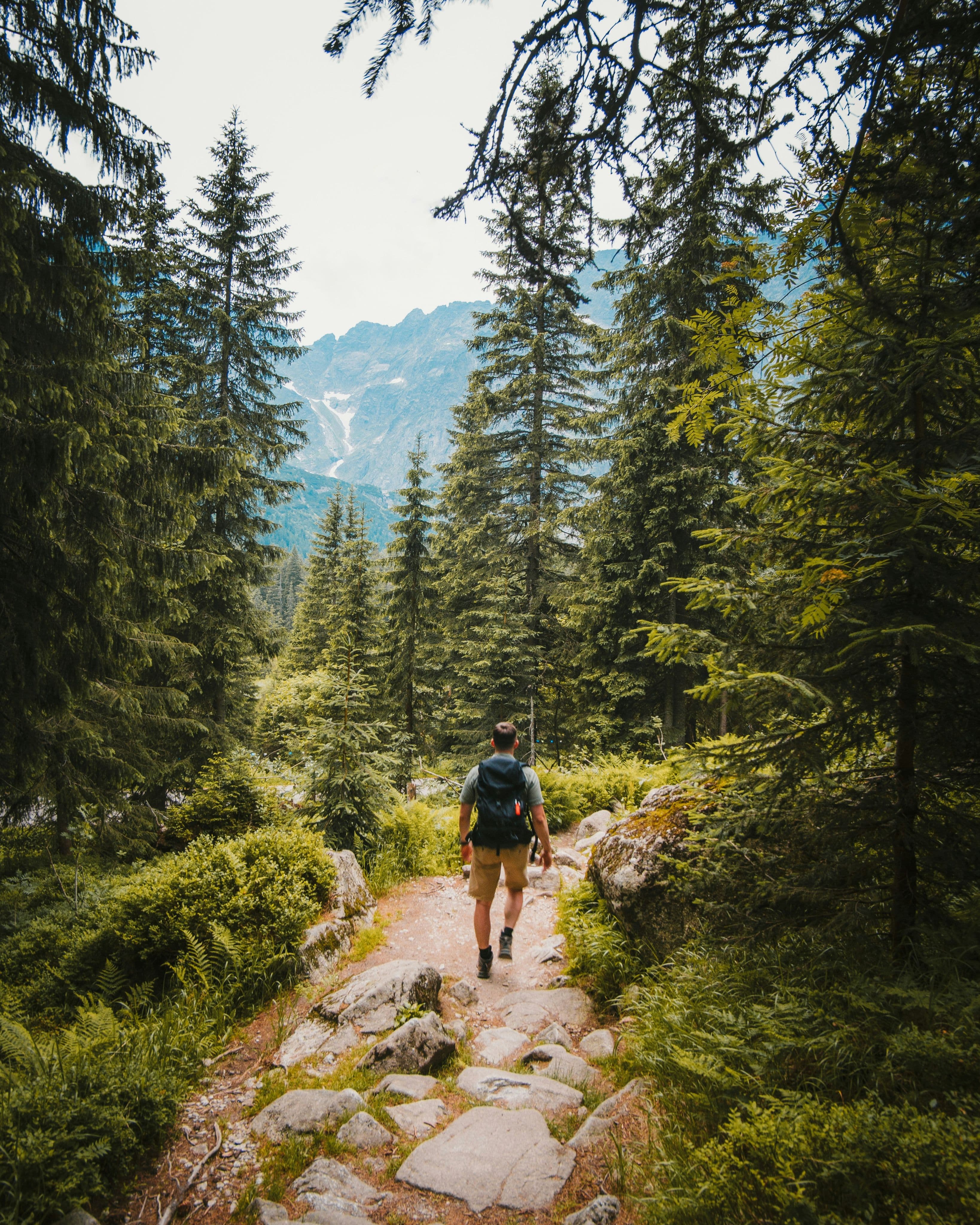 Journey image